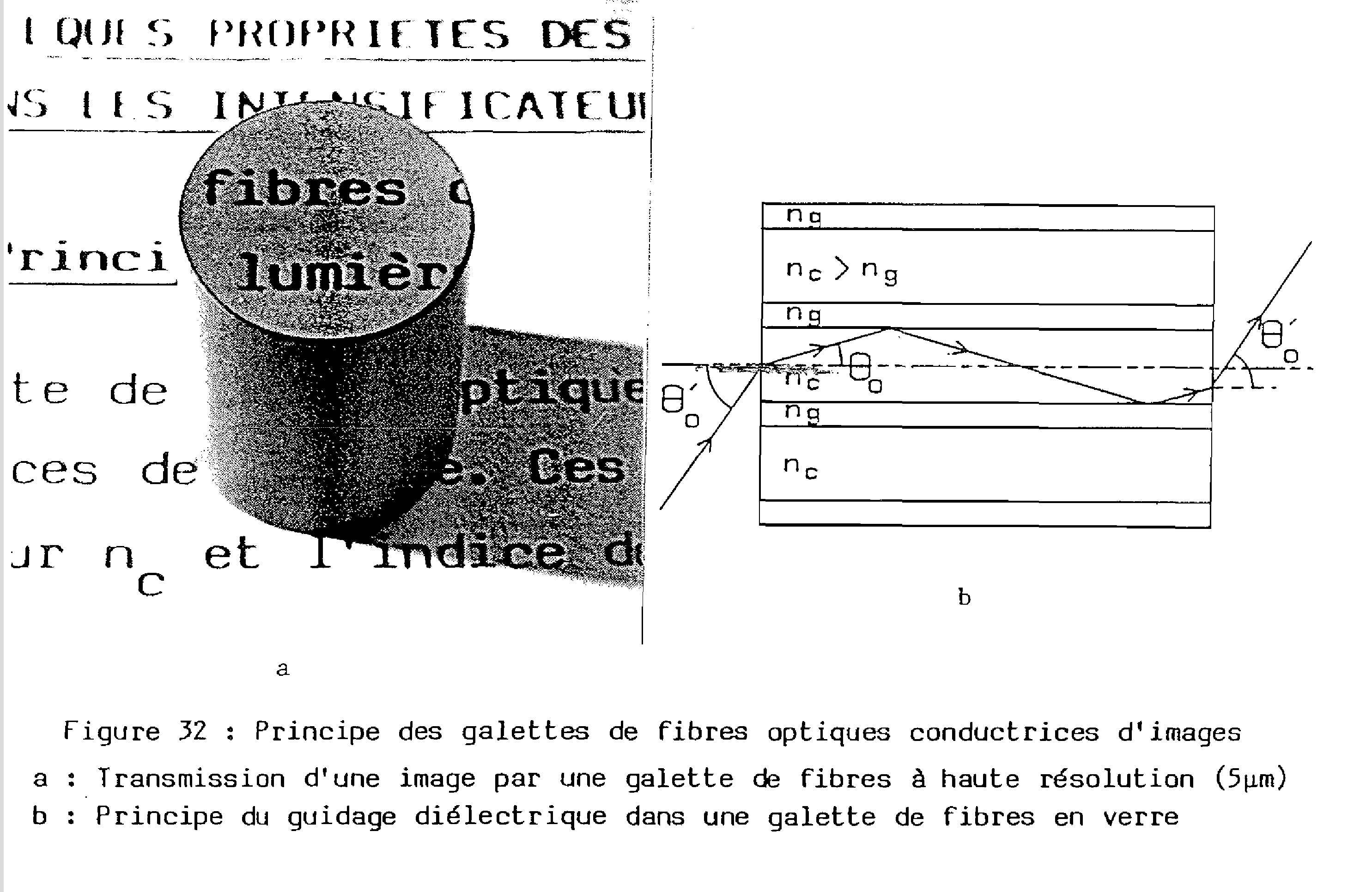 ECypRd4nYNW_bigler1986-page-95-plaque-de-fibres-fig32.jpg