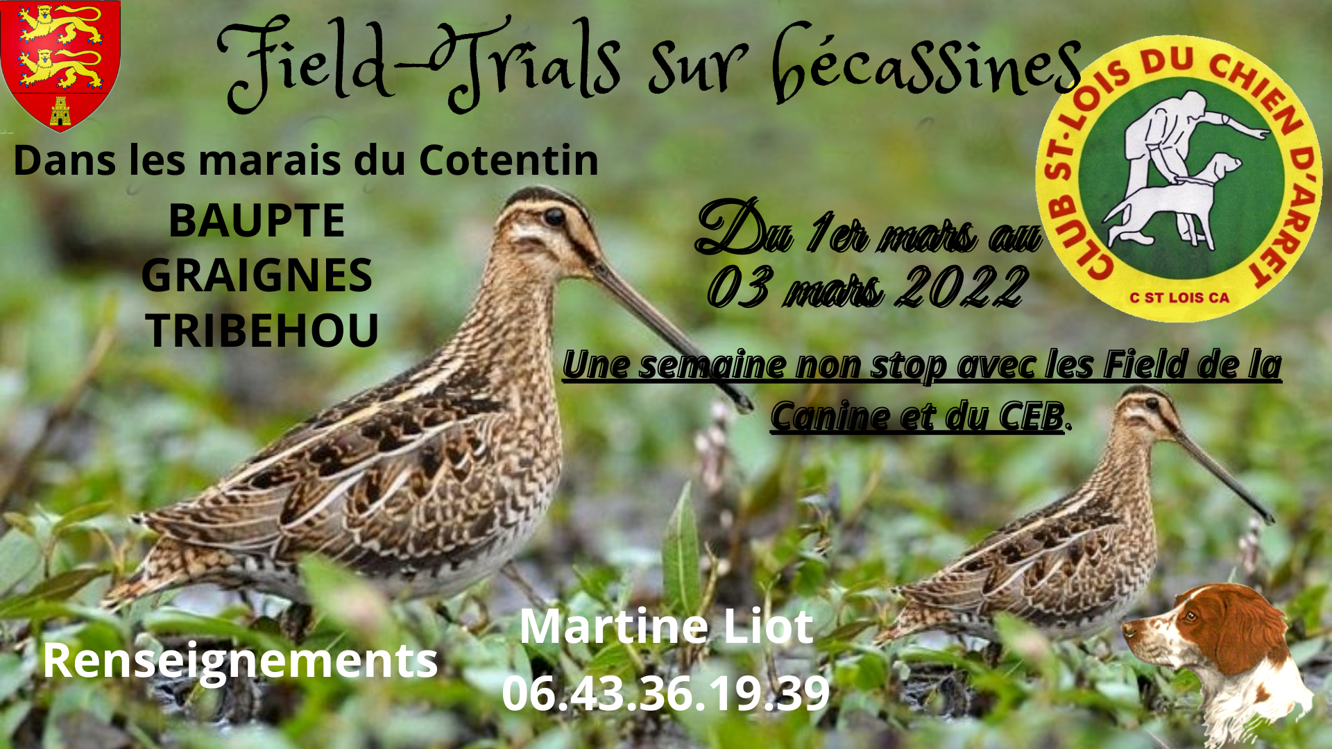 LBelJjrIzkM_Copie-de-Field-Trial-sur-bécassines-2.png