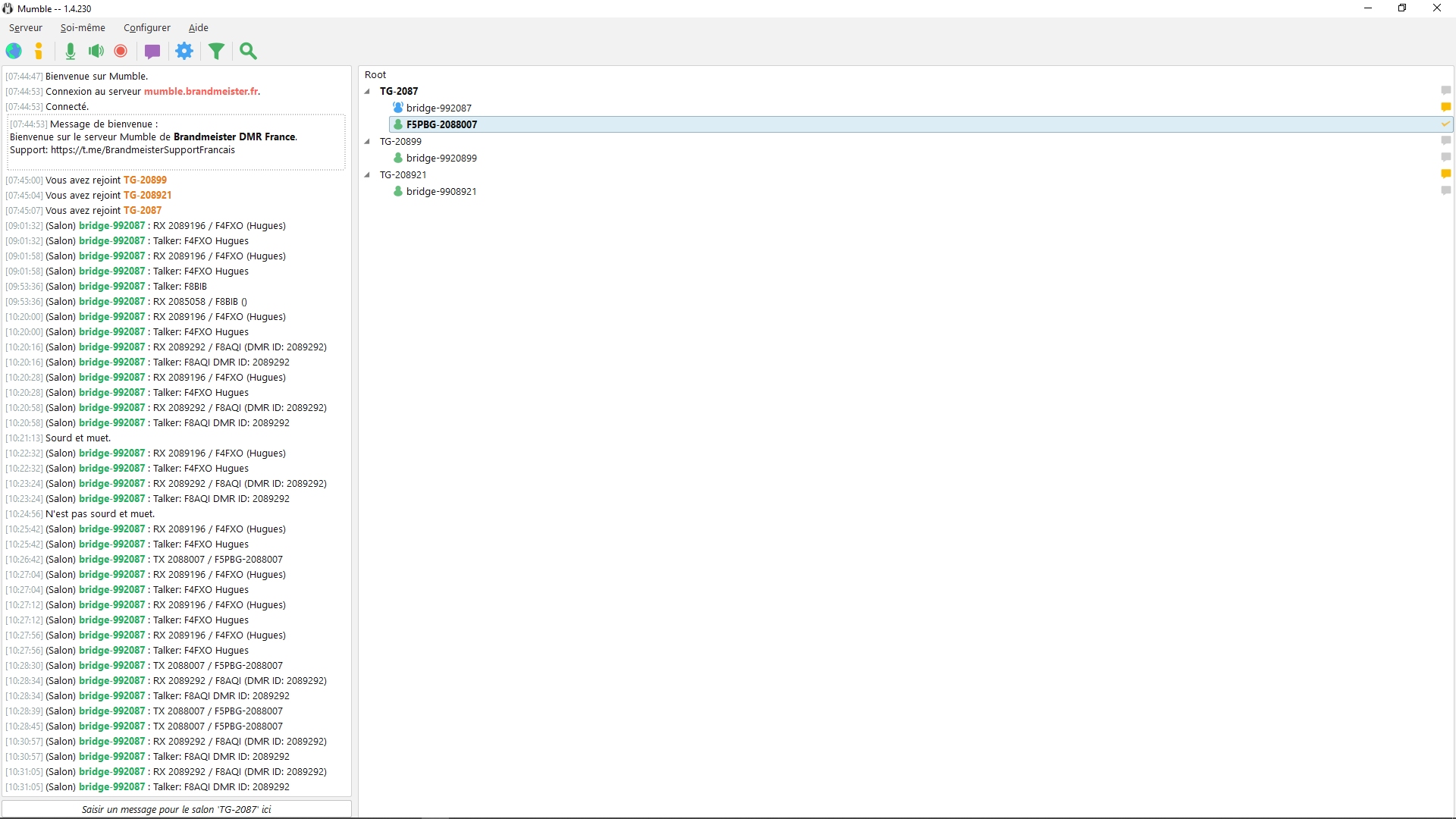 Utilisation du logiciel Mumble pour transmettre en DMR radioamateur LDAsHmeLCOB_dmr-mumble